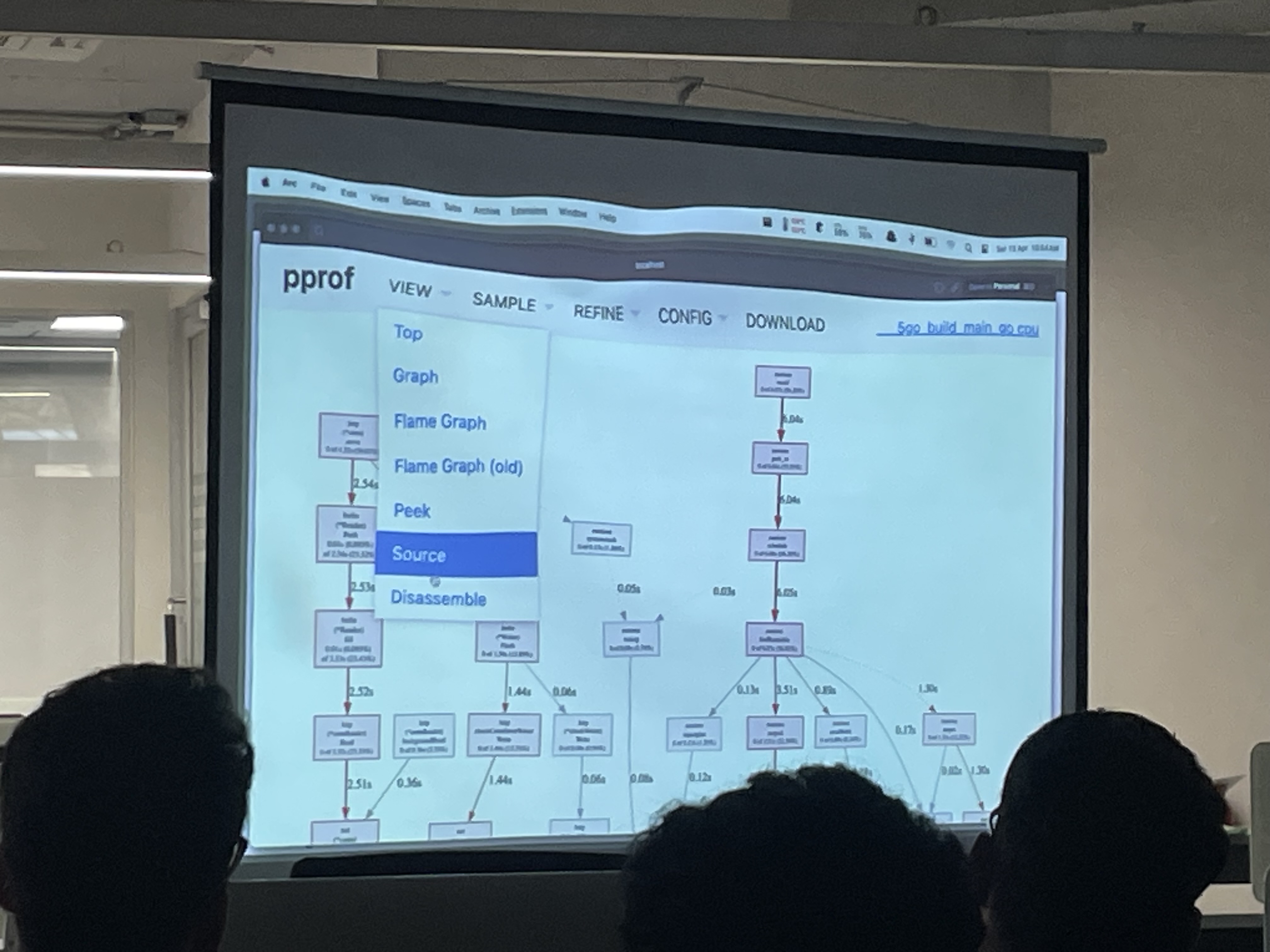 Image of the profile graph generated by pprof