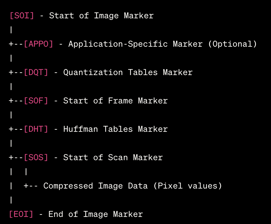 Segmented view of various markers in a JPEG file